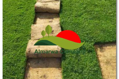 توريد وتركيب نجيلة طبيعى بابها 0567358818