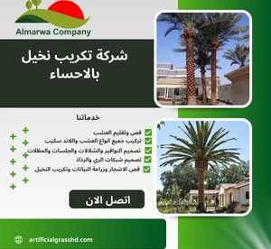 شركة تكريب نخيل بالاحساء للايجار