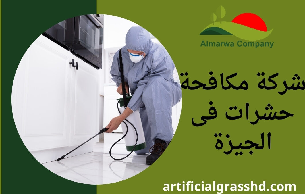 شركة مكافحة حشرات فى الجيزة