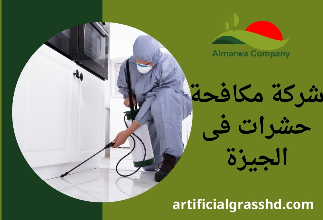 شركة مكافحة حشرات فى الجيزة 01010890769