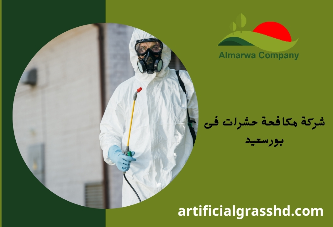 شركة مكافحة حشرات فى بورسعيد