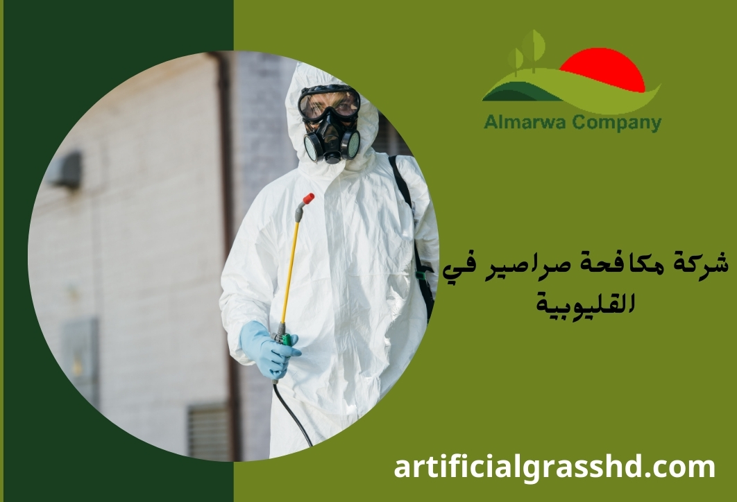 شركة مكافحة صراصير في القليوبية 01010890769