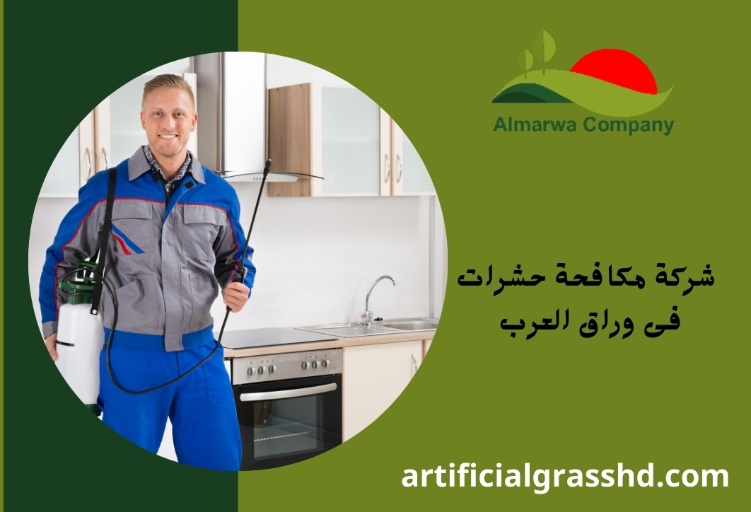 شركة مكافحة حشرات فى وراق العرب
