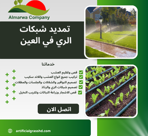 تمديد شبكات الري في العين