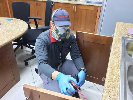 شركة ابادة حشرات في عزبة النخل